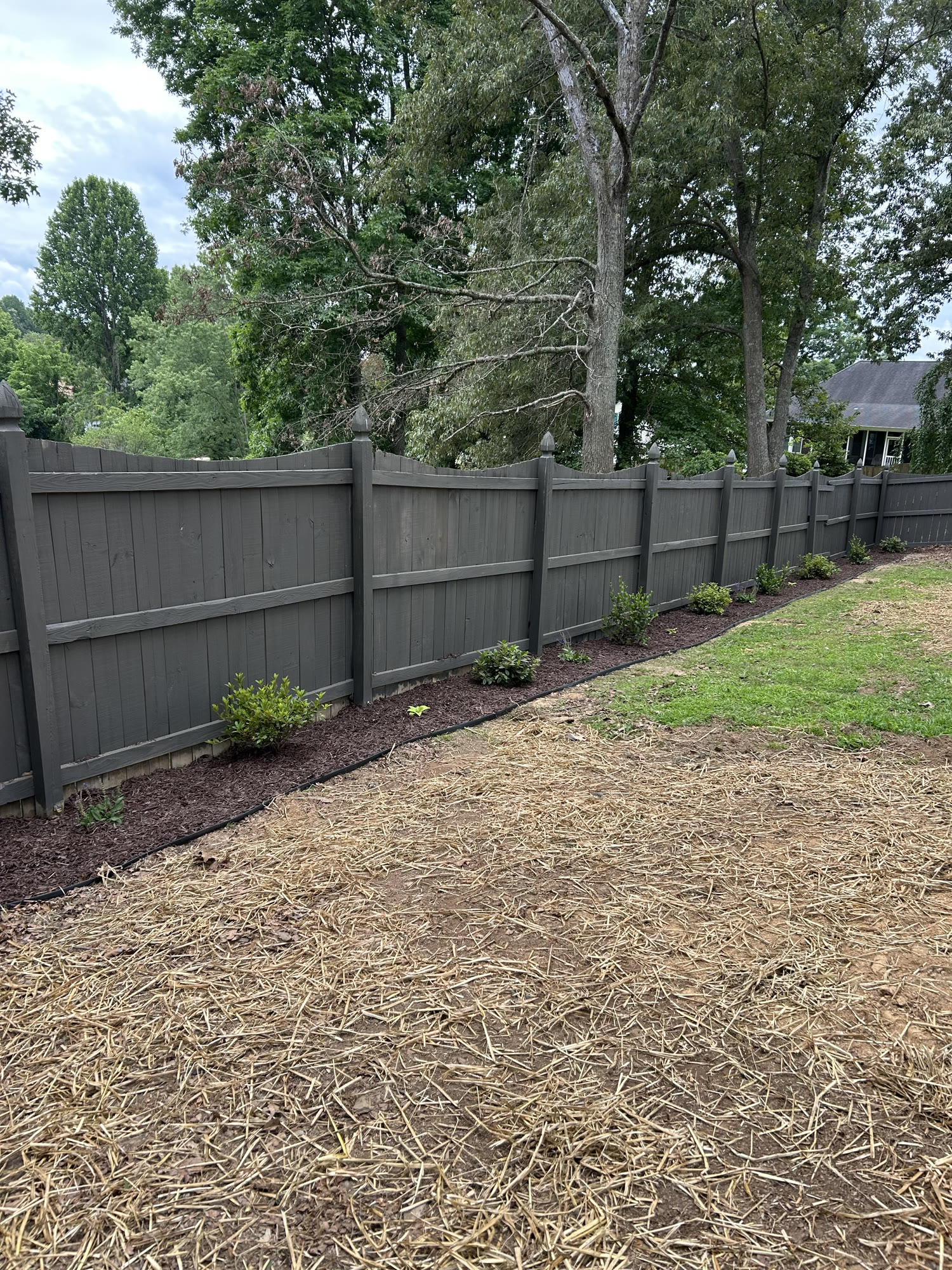 Property cleanup with new mulch beds, plantings, and lawn restoration