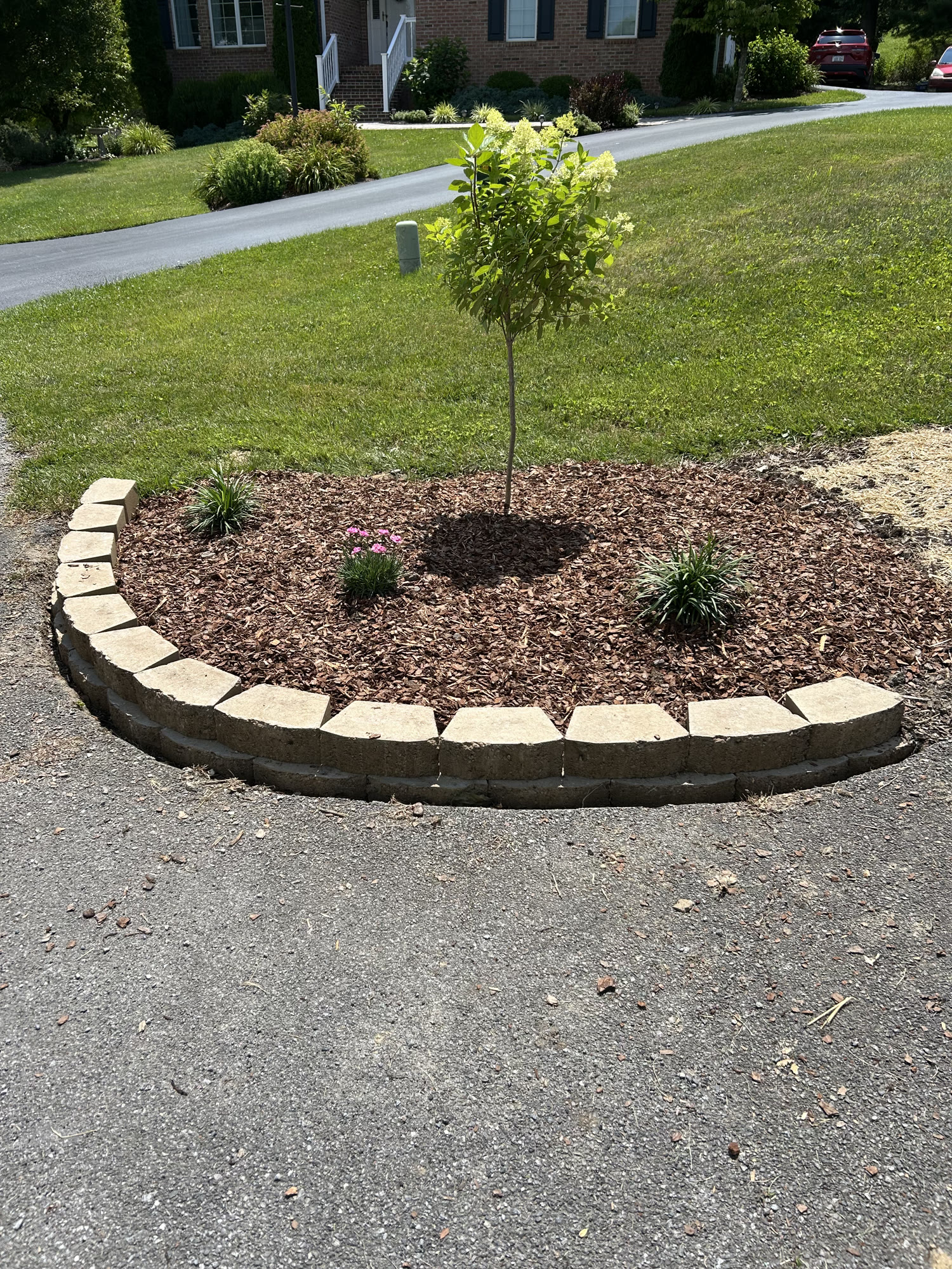 Curved driveway landscape bed with mulch, edging, and plantings