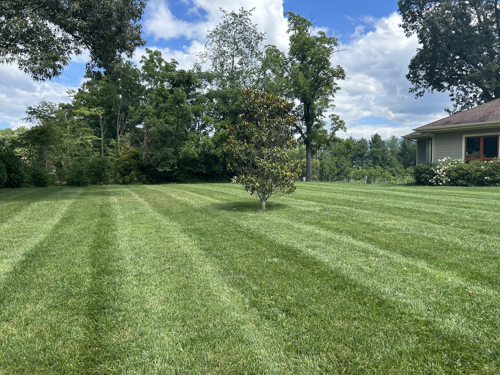 Freshly mowed lawn in Bristol, TN